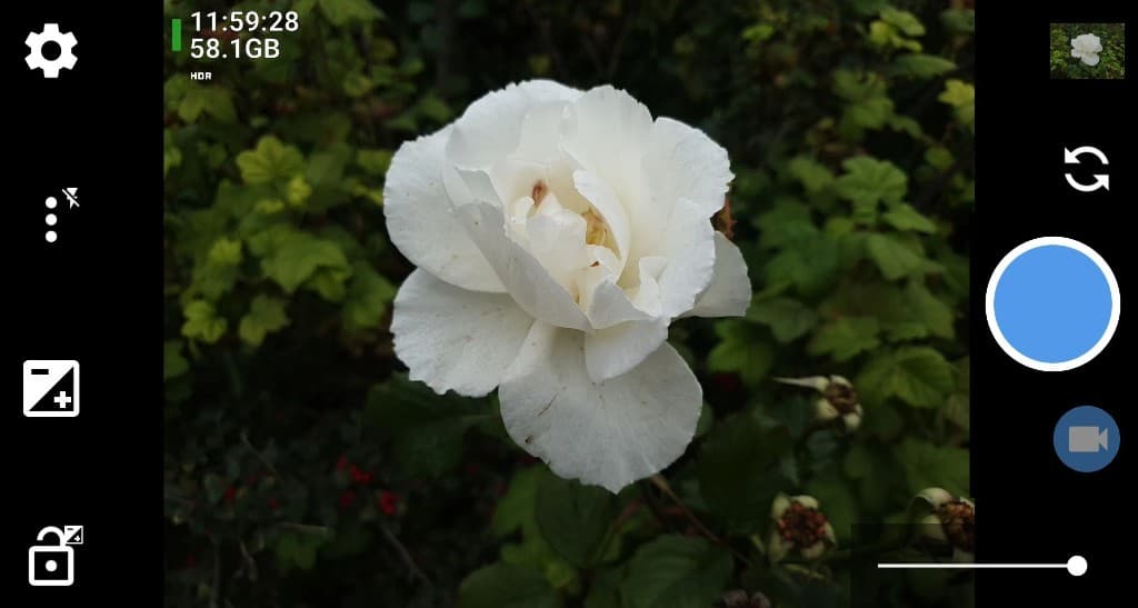 Open Camera Android — Sucher mit weißer Rose, HDR-Aufnahme, Einstellungs-Icons links und rechts