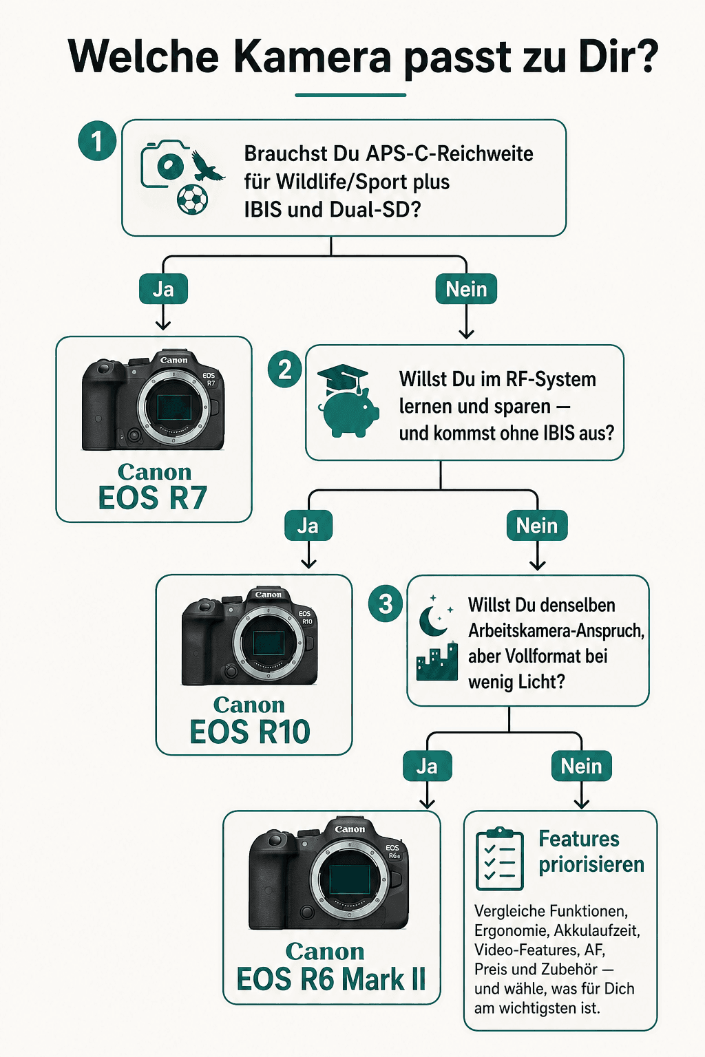 Entscheidungsbaum: Canon EOS R7, R10 oder R6 Mark II