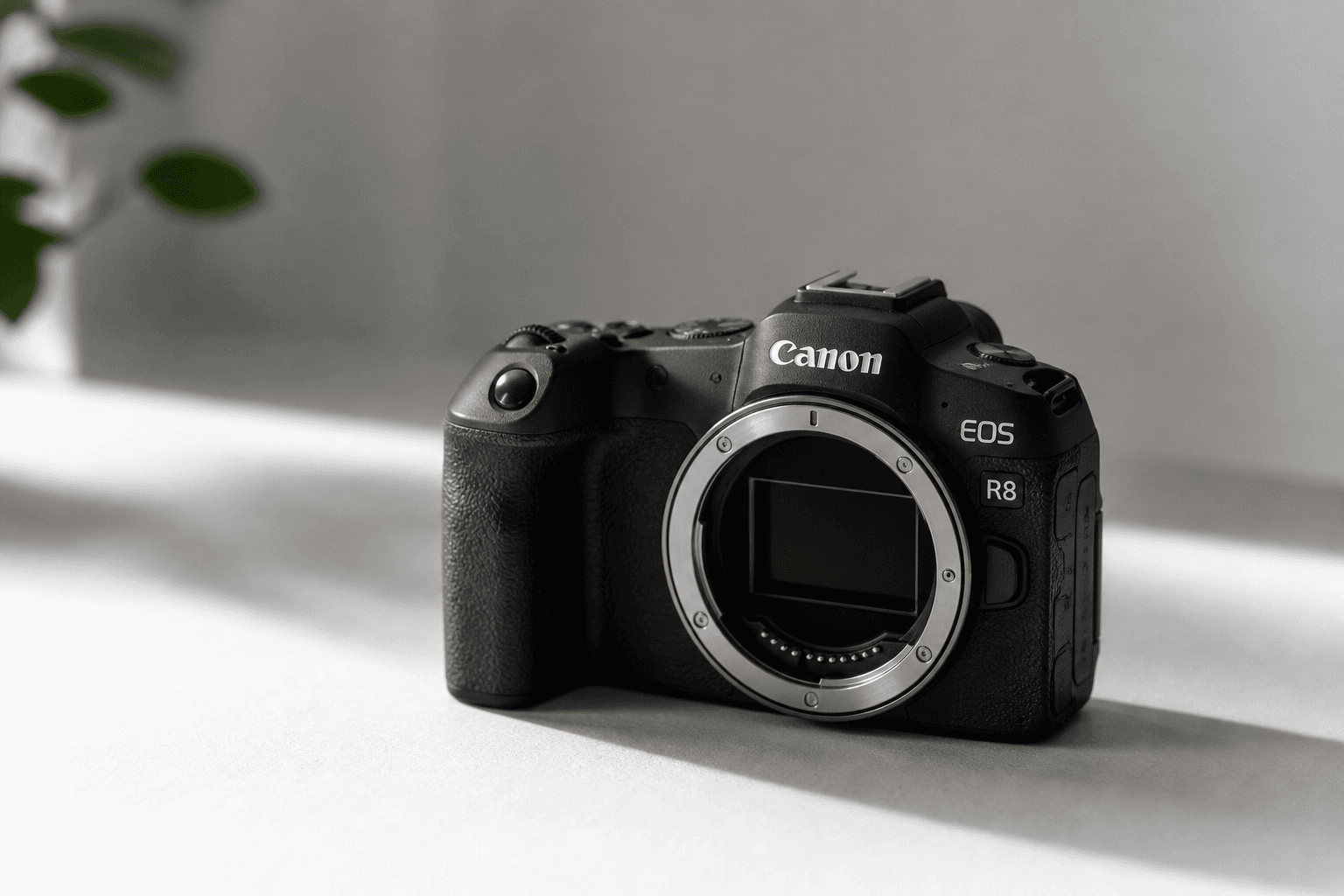 Canon R8 Test