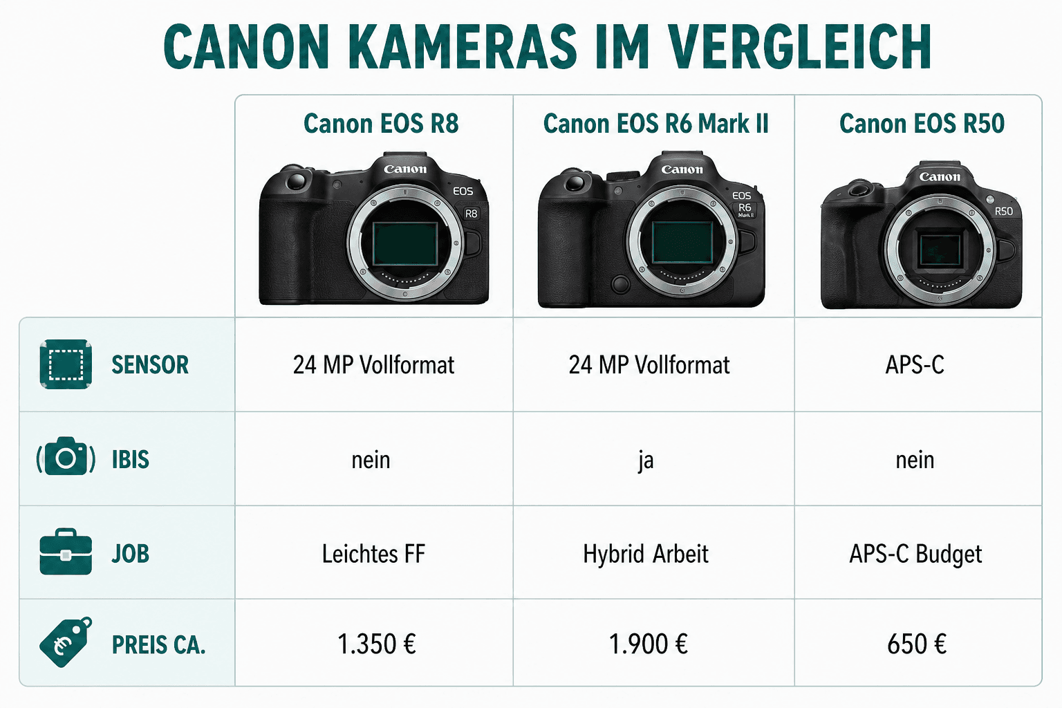 Vergleich: Canon EOS R8, Canon EOS R6 Mark II und Canon EOS R50