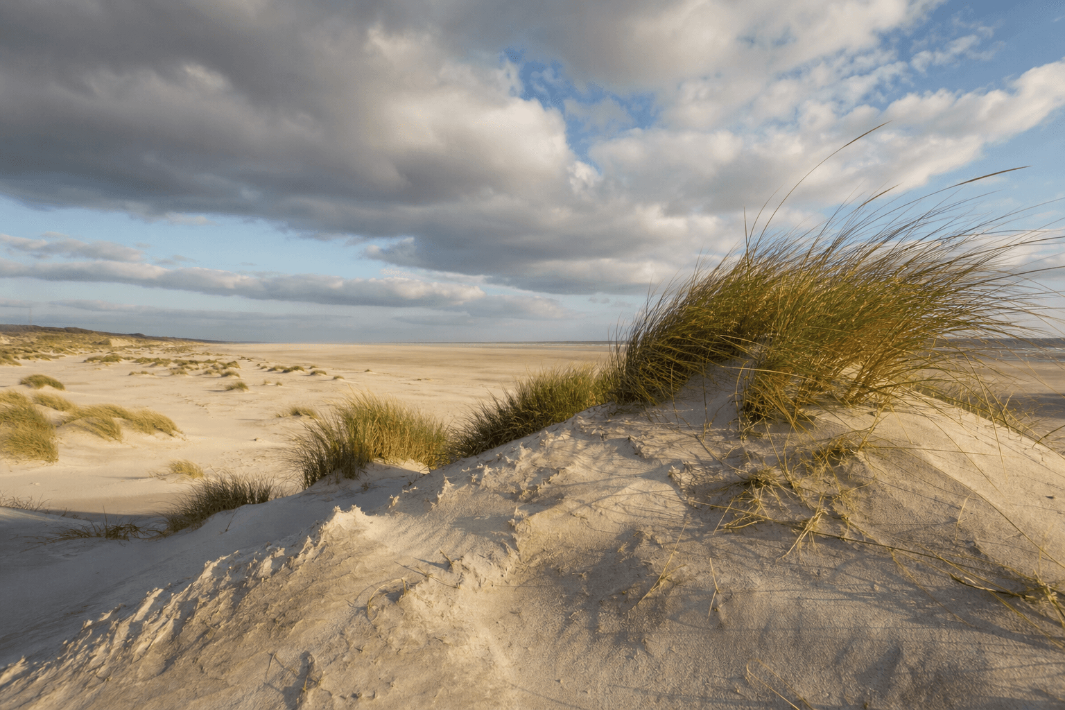 Kniepsand auf Amrum — endlose Dünen und Nordsee