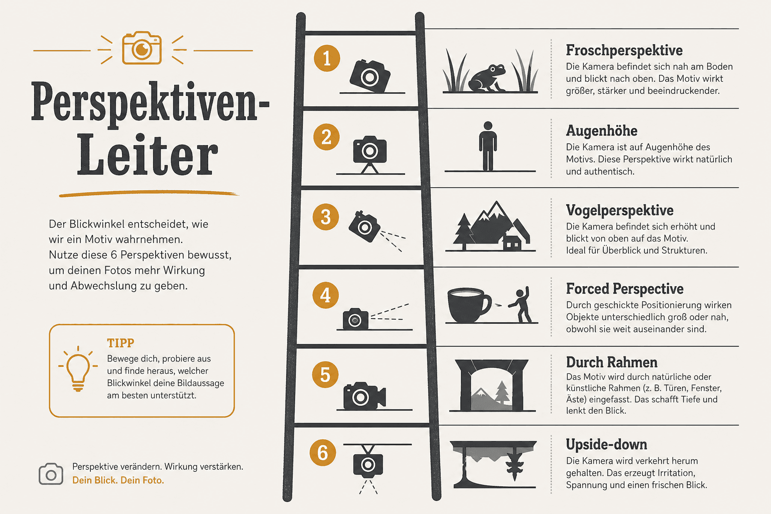Six unusual camera perspectives compared: low-angle shot, bird's-eye view, forced perspective, framing, upside-down, Dutch angle