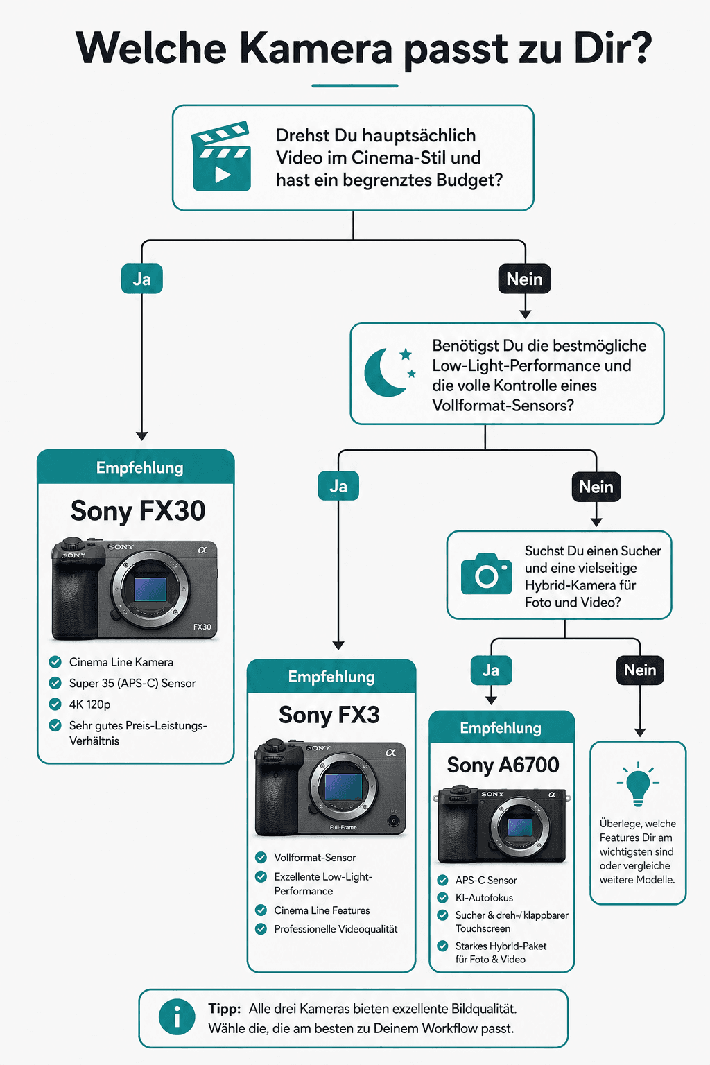 Entscheidungsbaum: FX30, FX3 oder A6700