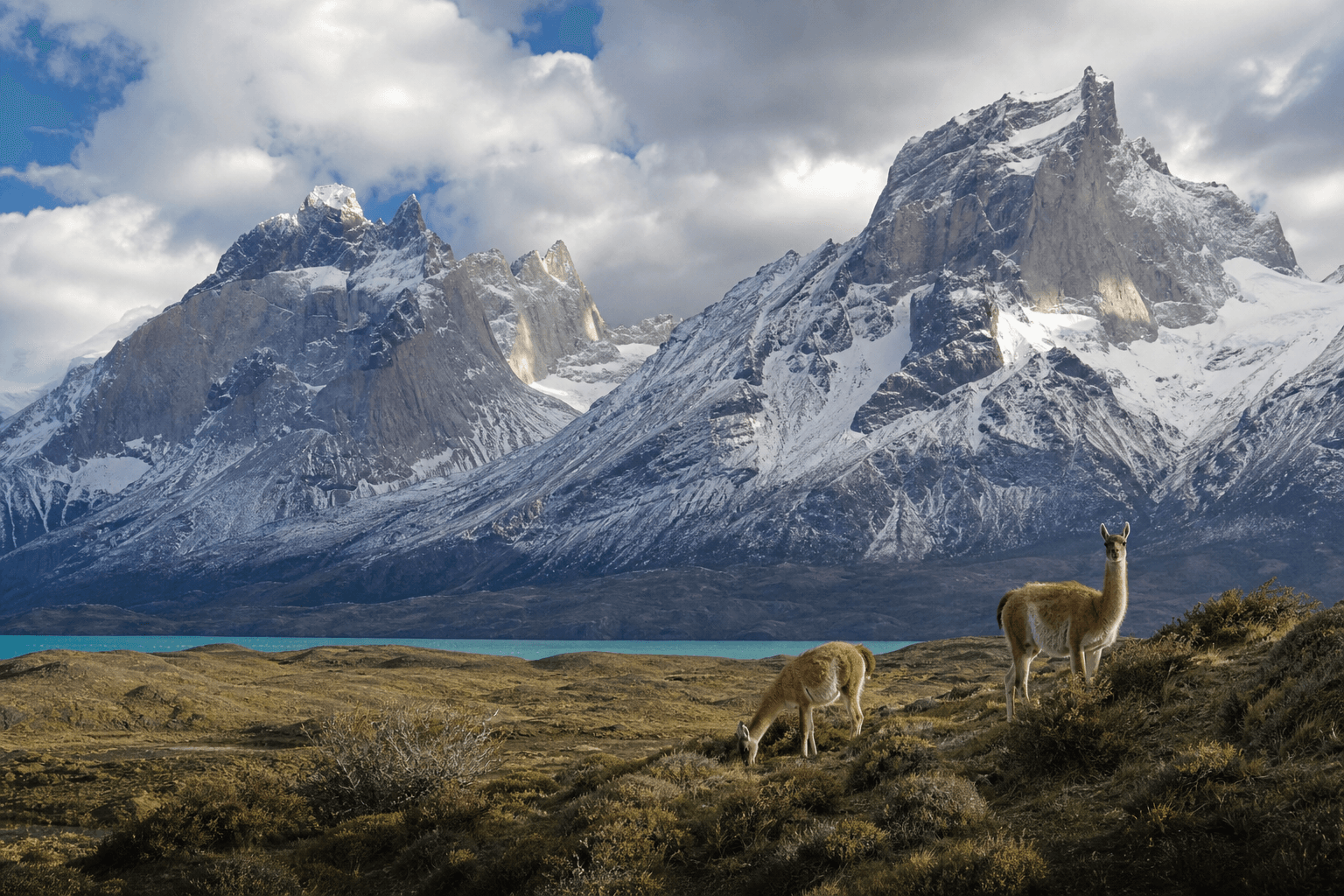 Patagonien — Torres del Paine Granitgipfel mit Schnee